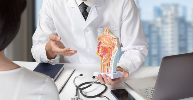 Otolaryngologist explaining patient cause of nasal blockage using a model.