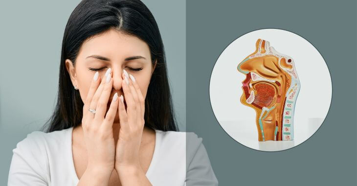 Sinus drainage massage