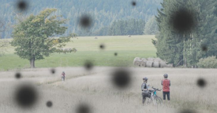 Black Spots in Vision