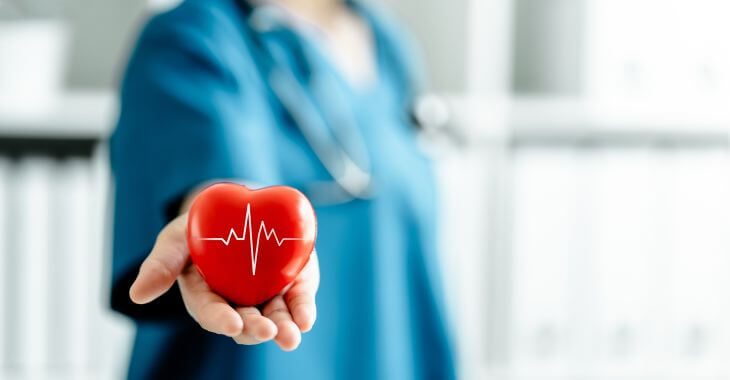 A cardiologist holding a figure of a red heart with EKG test line on it