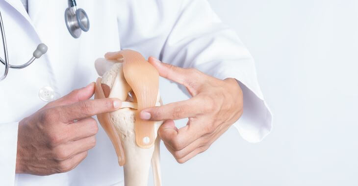 An orthopedic doctor explaining how the knee joint works on a model